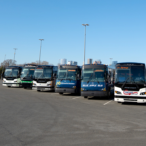 Private coach busses at Boston Logan