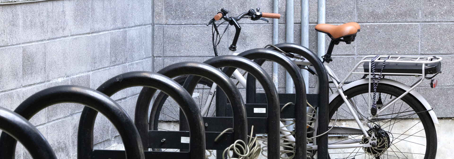 Public bike online basket