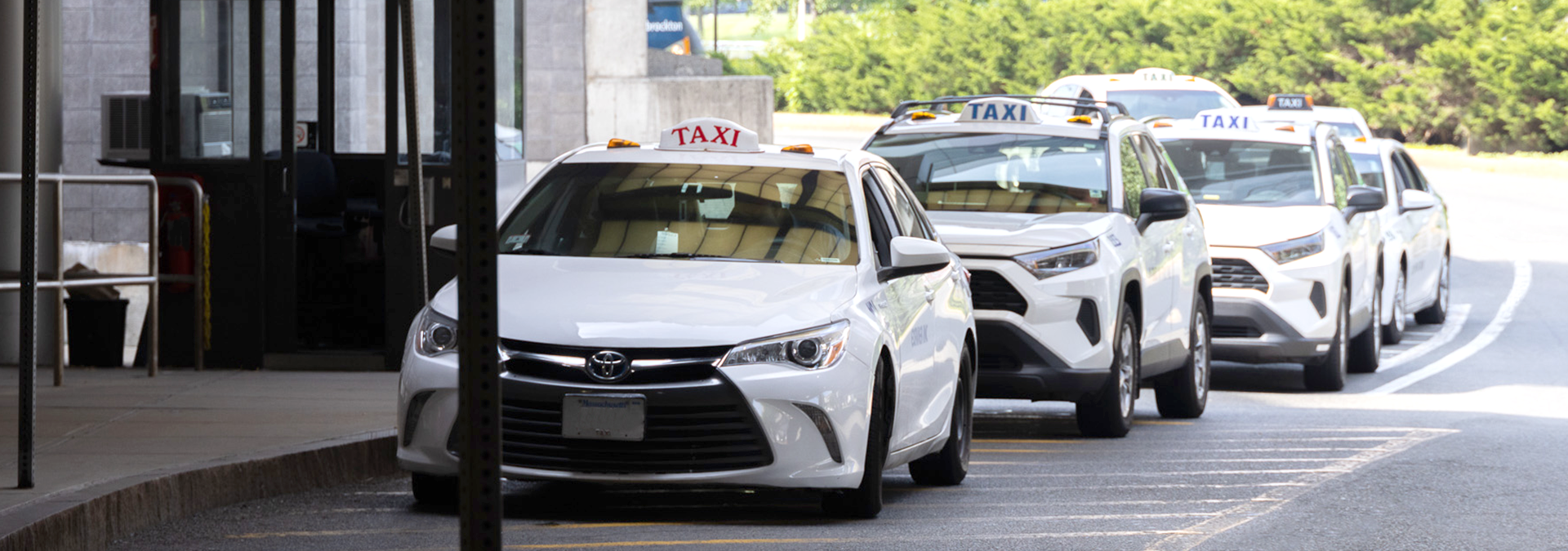 Taxis at Boston Logan