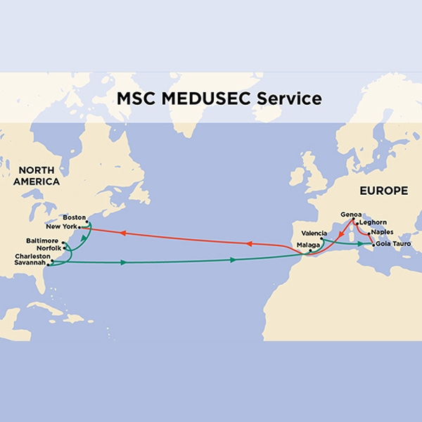 MSC MEDUSEC Service Map