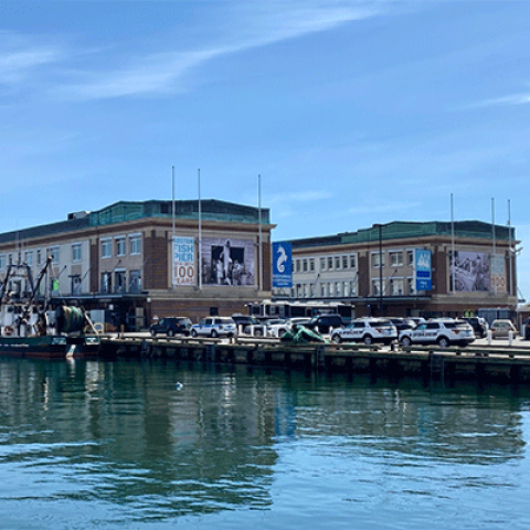 The Boston Fish Pier